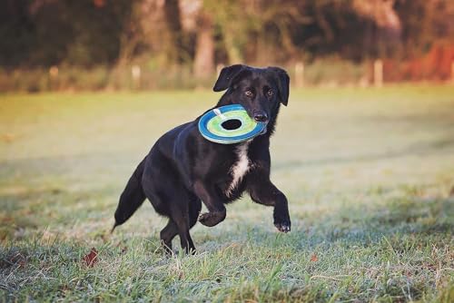 Chuckit! Max Glow Zipflight Flying Disc Dog Toy - Water Floating Flyer for Beach and Pool - Durable Polyester Construction - For Medium and Large Dogs - Size Medium - 8.5” L x 8.5” W - Pack of 1 - size: Medium