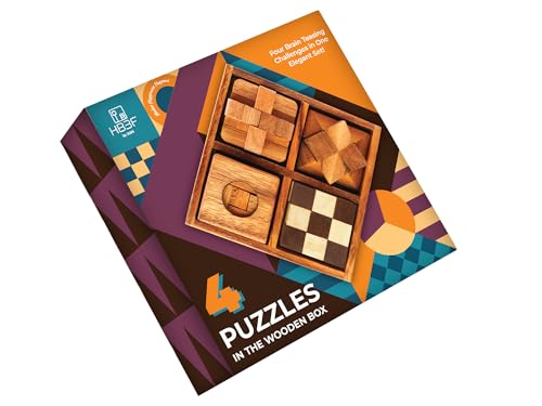 BSIRI 4 in 1 Wooden Brain Teaser Puzzles for Adults - Challenging 3D Desk Wood Puzzles Set Interlocking Hand Games for Mind Toys Suits for Rustic Patio Decor Unique Gift Office Decoration - style: 4 Puzzle Set