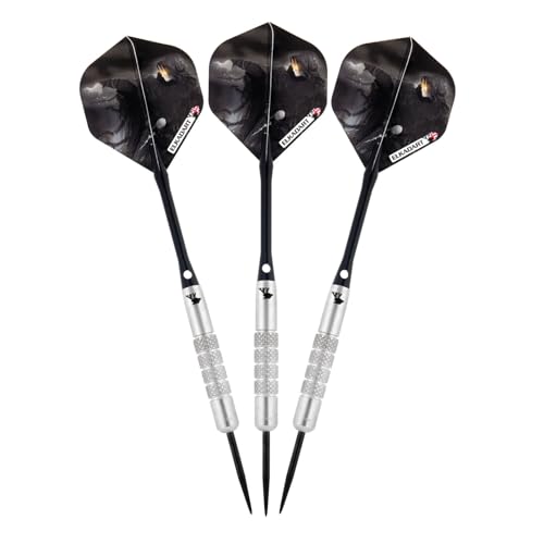 Elkadart Wizard 80% Tungsten Steel Tip Darts with Storage/Travel Case - style: 24 Grams