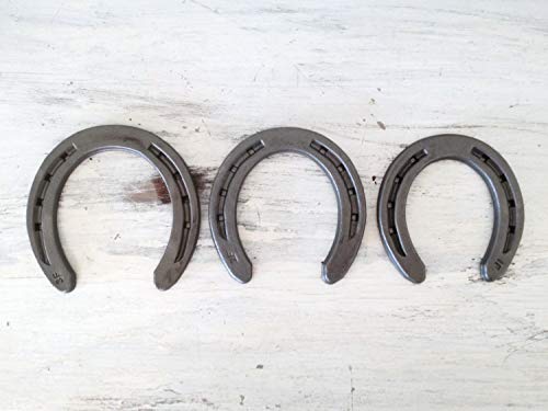Steel Horseshoes Set for Horses, Crafts, Decorations and Backyard Games - Size 000 - R1-F - Sand Blasted 40 Shoes - size: Size 000 R1-F X-Small - 40 Shoes