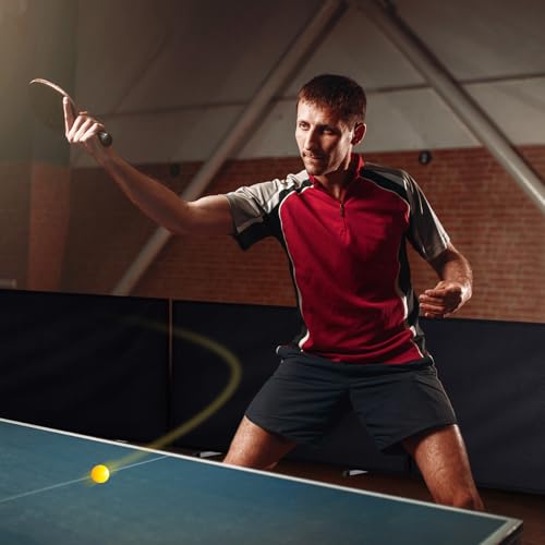 5 Pcs Table Tennis Barrier, 55" x 29.5" Practice Training Baffle with 420D Oxford Cloth, Portable Pickup Surround for Quick Ball Collection, Table Tennis Court Fencing Walls - color: Black
