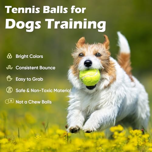 Treeroot 16/30/40/60/80 Pcs Tennis Balls, High Elasticity Tennis Balls Bulk, Comes with a Portable Mesh Bag, Tennis Ball for Dogs, Suitable for Beginner Training Ball, Durable & Bounce - size: 16Pack