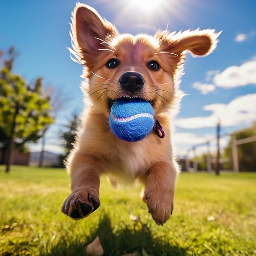 60/120 Pack Tennis Balls, Training Tennis Balls, Pet Dog Playing Balls, Practice Tennis Balls with Mesh Bag for Transport and Beginner Training - color: Blue-60Pack