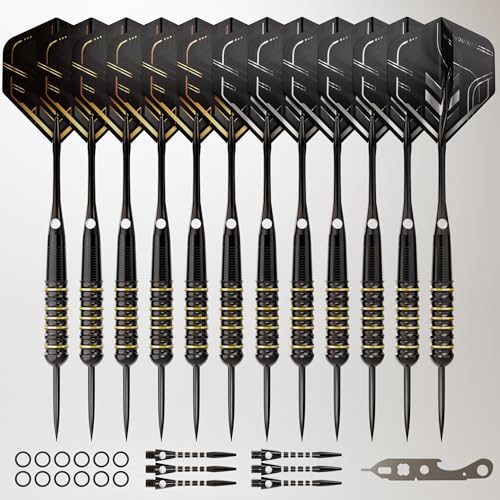CC-Exquisite Darts Set | Professional 12 X 20/22g Metal Tip Darts | Steel Tip Darts with 24 Flights & 18 Aluminum shafts + Dart Tool, Rubber O-Rings - color: Gold