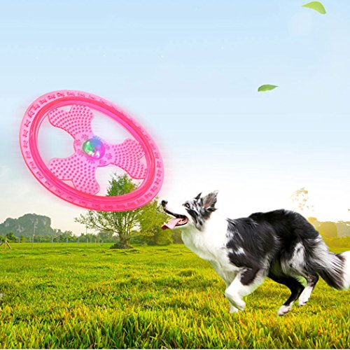 Flying Disc Dog Sport Toy with Flashing LED Lights, Light Up Pet Disk for Ultimate Night Time Play, Pink - color: Pink