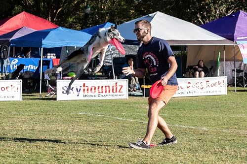 Hyperflite K-10 Jawz Puncture Resistant Dog Flying Disc, Medium-Large | Puncture Resistant, Competition Approved | 8.75-inch, 150g | Medium & Large Dogs | Pink - color: Pink