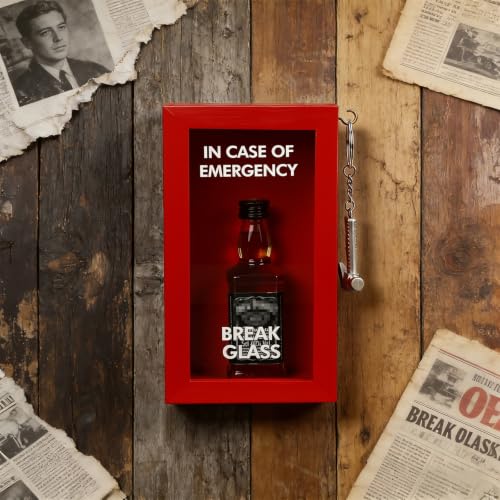 Funny Gift Emergency Box w/Hammer(Medium), Break in Case of Emergency Box, Personalized Prank Gag Gift for Birthday Holiday, Funny Desk Decor, White Elephant Gift for Friend Coworker Family - style: Medium Emergency Box