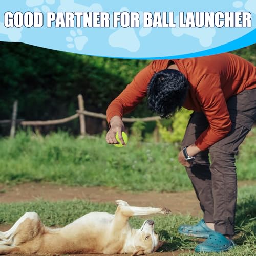 Swingers Small Tennis Balls,20 Pack 2 inch Training Tennis Balls,Exercise Ball for Pet Dog with Mesh Carry Bag Easy to Transport
