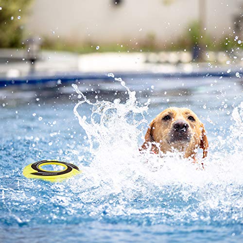 SKIPDAWG Interactive Tug Toy, Flying Disc Water Toy Non-Toxic Light TPR/Nylon Fabric, Pet Training and Outdoor Exercise Toys for Dogs, Diameter 9 Inches - color: Original Green