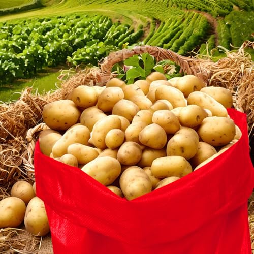 10Pcs Colorful Potato Sack Race Bags, Reusable Vegetable Storage Bags for Potato Tomato Onion Bean Storage - style: 10pcs