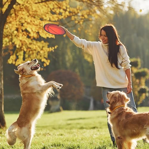 Mototo 30 PCS Foldable Flying Disc Fans 8 Inch Basketball Foldable Flying Disc Fans Bulk with Pouch Collapsible Pop up Hand Fan Goodie Bags Sports Party Favor for Kids Operation Christmas Child Items - color: Basketball