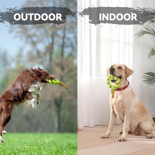 ALL FOR PAWS 6.1" Dog Ring Toy, Flying Ring for Fetch, Training & Outdoor Play, TPR Foam & Rope Dog Toy for Throwing, Catching, Tug Toys for Small, Medium & Large Dogs