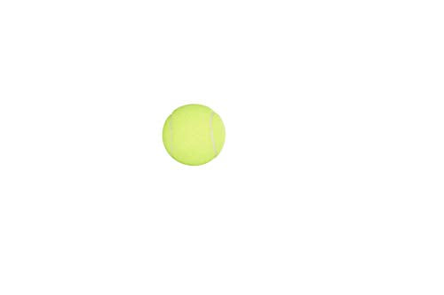 Penn Championship Tennis Balls - Regular Duty - size: 15 Cans, 45 Balls