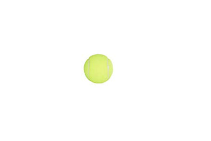 Penn Championship Tennis Balls - Extra Duty Felt Pressurized Tennis Balls - 1 Can, 3 Balls
