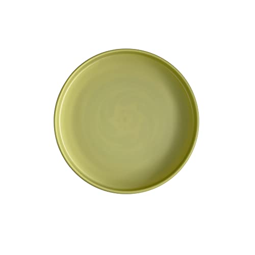 Glow in the Dark Ultimate with Soft Grip Frisbee Disc 175 Grams,10.5 inches Sport Disc, Great for Backyard, Park, Beach, Camping, pet and More - color: Green