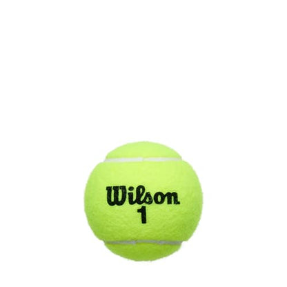WILSON Championship Tennis Balls - size: Single Can (4 Balls), style: Extra Duty