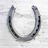 Steel Horseshoes Set for Horses, Crafts, Decorations and Backyard Games - Size 00 - Plain - 20 Shoes - size: Size 00 Small - 20 Shoes