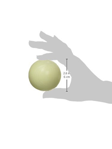 Chuckit! Glow in the Dark Bouncy Balls - Ball for Dogs, Chuckit Dog Toy, Max Glow Balls - Medium, 2.5 Inch, Pack of 1 - size: Medium