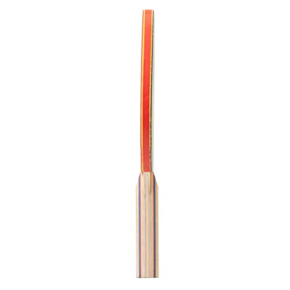 STIGA Beginner Ping Pong Paddles - Recreational to Performance Table Tennis Rackets Ages and Skill Levels - Multiple Styles + Performance Levels Available - style: Aspire