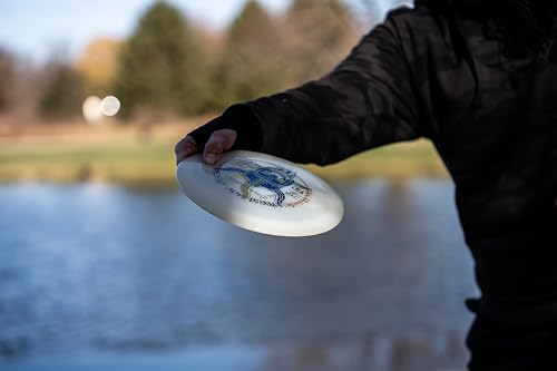 Dynamic Discs Disc Golf Discs Set (Misprint 10-Pack) - Affordable Disc Golf Accessories for Men - Includes Drivers, Fairways, Midranges & Putters - Great Starter Set for Beginners, Intermediates - style: 10 Pack