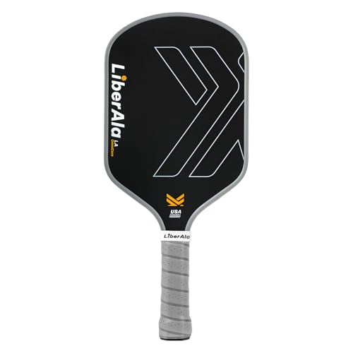 Pickleball Paddles & Set of 2, USAPA Approved Carbon Fiber Pickle Ball Paddle, PP Honeycomb Core, Lightweight & Comfort Grip for Beginners, Pros, Men, Women, Adults, Kids - color: 1 Pro Grey
