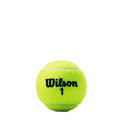 WILSON Championship Tennis Balls - size: 4 Can Pack (12 Balls), style: Regular Duty