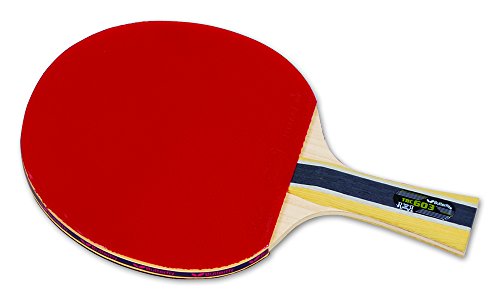 Butterfly B603FL Ping Pong Paddle Set | 1 Table Tennis Racket | 1 Ping Pong Paddle Case| Tournament Butterfly Ping Pong Paddles | High Speed & Spin Table Tennis Set, Multi