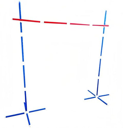 46-Piece Limbo Game for Kids and Adults - Professional Indoor/Outdoor Limbo Set Party Games, Backyard Carnival Games, Beach Lawn Games, Luau Birthday Game with Carry Bag
