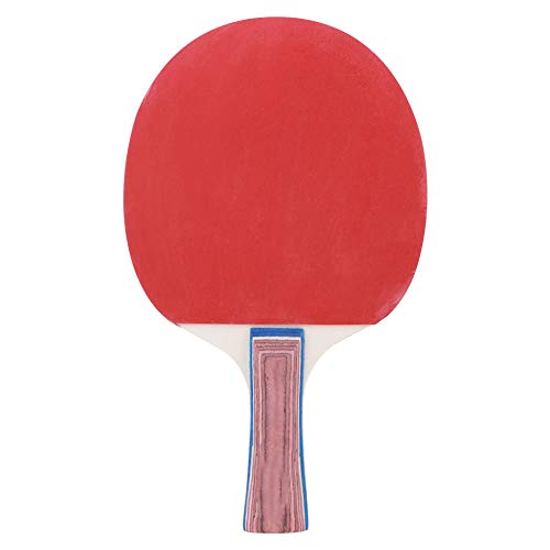 RiToEasysports Portable Table Tennis Net Set, Durable Retractable Training Set for All Ages, ABS Material, IndoorOutdoor Fun