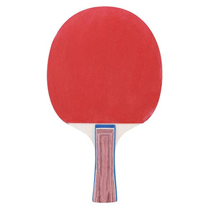 RiToEasysports Portable Table Tennis Net Set, Durable Retractable Training Set for All Ages, ABS Material, IndoorOutdoor Fun