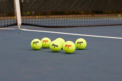 Penn Championship Tennis Balls - Extra Duty - style: 4 Cans, 12 Balls