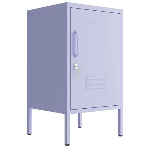 Single Door Lockable Metal End Table & Children's Bedside Table, 2-Tier Storage Cabinet with Adjustable Shelf, Easy Assembly Side Table for Living Room Bedroom Home Office Purple - color: Lilac, style: End Table-28"H-GL