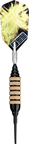 Viper Spinning Bee Soft Tip Darts with Casemaster Storage/Travel Case, 16 Grams - color: Black