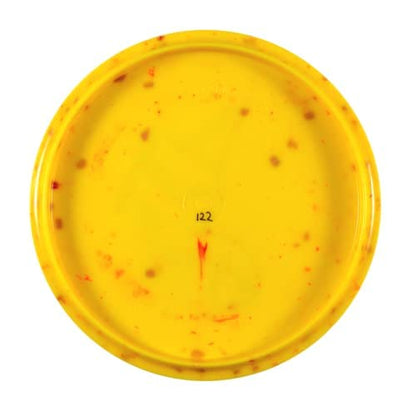 Brachiosaurus Easy-to-Throw Lightweight Disc Golf Mid-Range for Children by Dino Discs