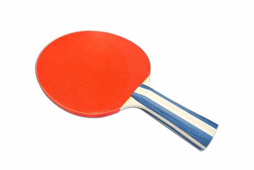 HAN'S DELTA Ping Pong Paddle Sets - 2 or 4 Player Table Tennis Paddles, Pingpong Balls & Net - Table Tennis Equipment & Ping Pong Accessories - style: Professional Set (2 Paddles+3 Balls)