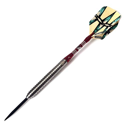 CUESOUL Tungsten Steel Tip Darts- Precise Barrels 18 19 21 24 Grams - color: 22 Grams