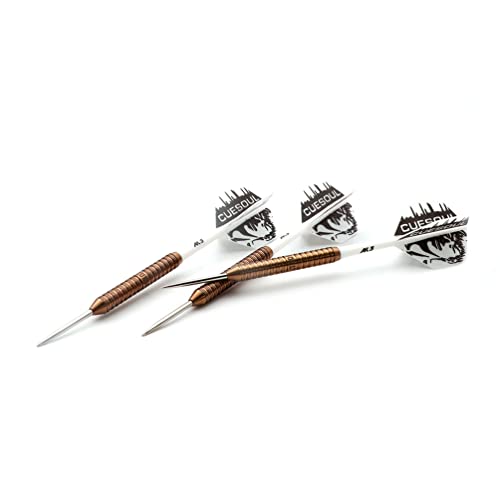 CUESOUL Big Beast 90% 26g/27g Steel Tip Tungsten Dart Set with Dart Case - color: Rose Glod-26g