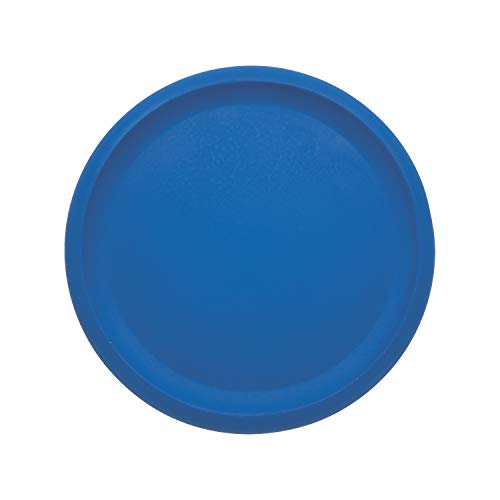 Champion Sports Rhino Skin Foam Disc Set (Pack of 6) - size: Pack of 6