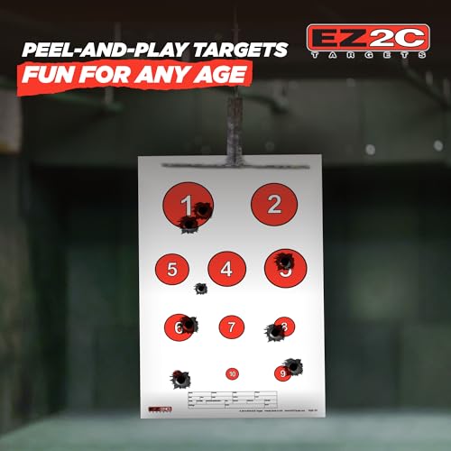 EZ2C Games Styles: Dartboard - Sink The Boats - Tic-Tac-Toe - Reducing Circles - Paper Targets for Shooting Range 11"x17" Fun Gun Range Targets for Shooting USA Made Gun Gifts - color: 4 Style Bundle, style: 40