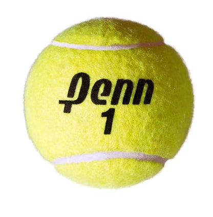 Penn Championship High Altitude, Extra Duty Tennis Balls, Pressurized, USTA & ITF Approved, 3-Ball Can, 1 Can