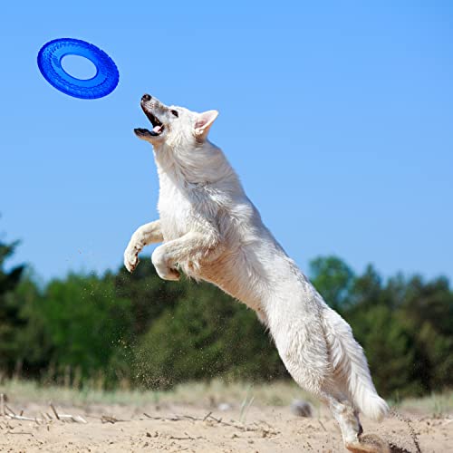 Nerf Dog 10in Enhanced Translucent TPR Tire Flyer - Blue,Medium Breeds - color: Translucent Blue, size: 10 Inch