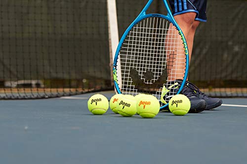 Penn Championship Tennis Balls - Extra Duty - style: 4 Cans, 12 Balls