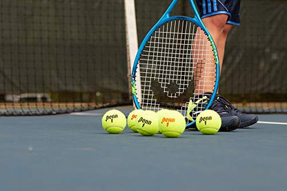 Penn Championship Tennis Balls - Extra Duty - style: 4 Cans, 12 Balls