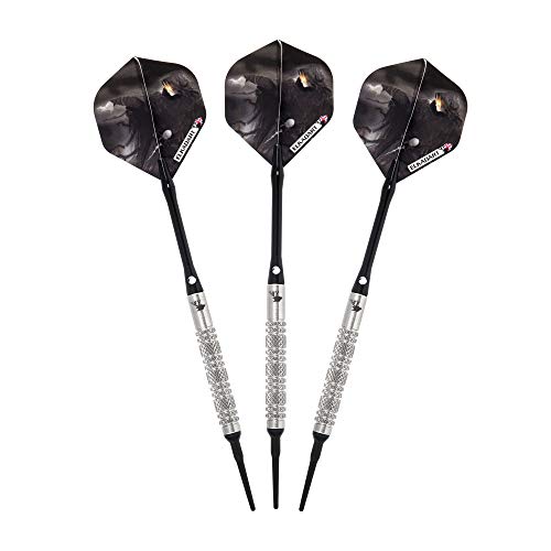 Elkadart Wizard 80% Tungsten Steel Tip Darts with Storage/Travel Case - style: 19 Grams