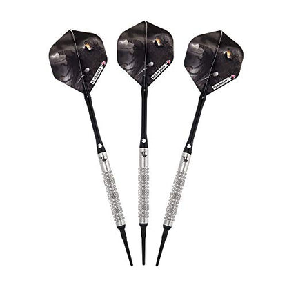 Elkadart Wizard 80% Tungsten Steel Tip Darts with Storage/Travel Case - style: 19 Grams
