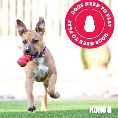 KONG Flyer - Durable Dog Toy for Outdoor Playtime - Natural Rubber Flying Disc, Dog Toy for Fetch - Safer Disc for Healthy Activity - for Medium/Large Dogs - size: Large (Pack of 1)