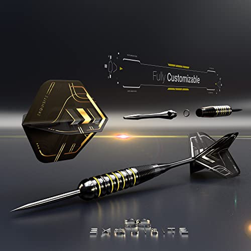 CC-Exquisite Darts Set | Professional 12 X 20/22g Metal Tip Darts | Steel Tip Darts with 24 Flights & 18 Aluminum shafts + Dart Tool, Rubber O-Rings - color: Gold