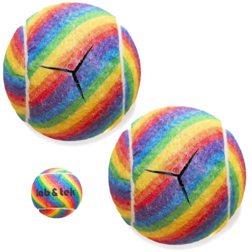 lab&tek Ultra-Thick & Extra-Durable Precut Tennis Balls Pack | Pro Glide Kit for Walkers, Chairs, Furniture Feet, Desks, and Table Legs | Enhances Mobility & Protects Floors - style: 2 Balls Kit