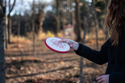 Dynamic Discs Disc Golf Discs Set (Misprint 10-Pack) - Affordable Disc Golf Accessories for Men - Includes Drivers, Fairways, Midranges & Putters - Great Starter Set for Beginners, Intermediates - style: 10 Pack