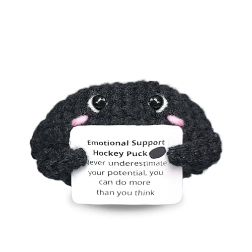 Handmade Collectible Hockey Puck - Emotional Support Decor,Tough & Supportive Gift for Hockey Players,Best Friend,Team Mate,Sports Room Decor Accent - color: Hockey